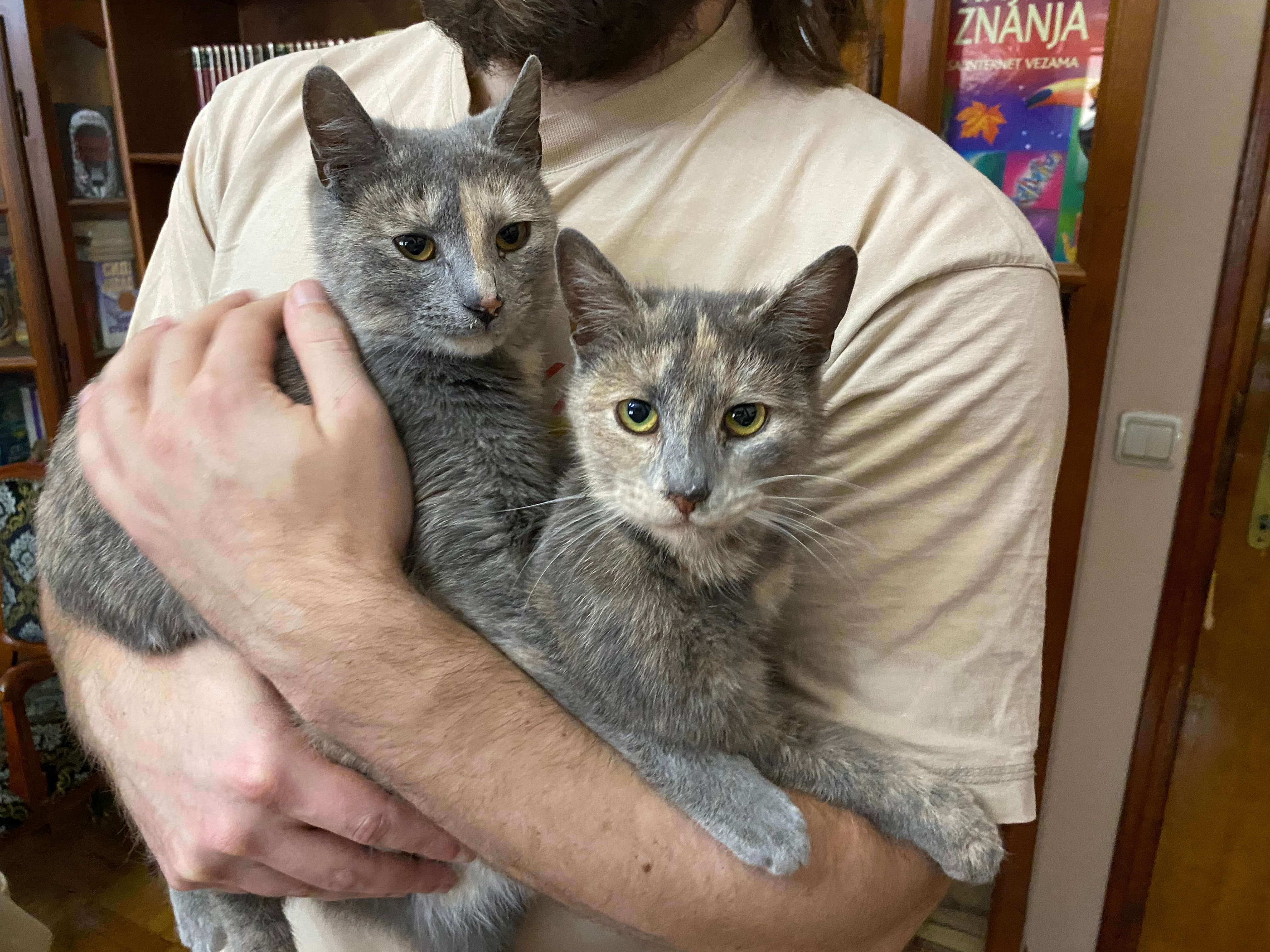 Udruzenje CESLAJA - Udomi ne kupuj - Vini