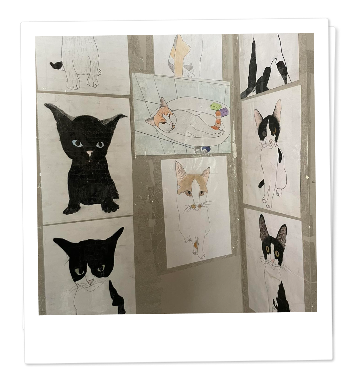 Udruženje Ceslaja prostor